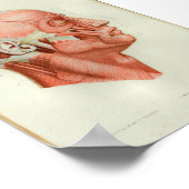 1844 Vintage Anatomy Print Muscles Face Poster (Ecke)