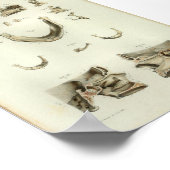 1844 Vintage Anatomy Print Skull Bones Poster (Ecke)