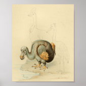 1848 Dodo Extinct Bird Vintag Print Poster (Vorne)