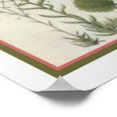 1849 Botanische Printwerbung von Jane Loudon- 12x1 Poster (Ecke)