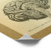 1850 Vintage Anatomie Druckgestänge Poster (Ecke)