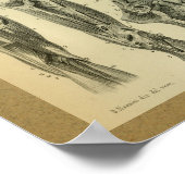 1850 Vintage Anatomie Druckschleimmuskeln Poster (Ecke)