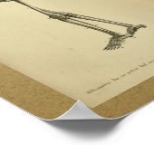 1850 Vintage Anatomie Druckskelett Poster (Ecke)