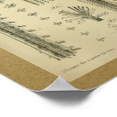 1850 Vintage Anatomie Druckspinalkabel Poster (Ecke)