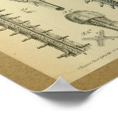 1850 Vintage Anatomie Druckspinalkabel Poster (Ecke)