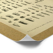 1850 Vintage Anatomie Druckzähne Poster (Ecke)