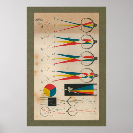 1851 Vintag Vision Sehanatomie Diagramm Poster (Vorne)
