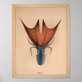1851 Vintager Oktopus Poster (Vorne)