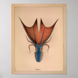 1851 Vintager Oktopus Poster
