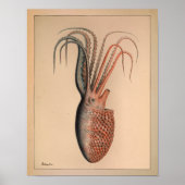 1851 Vintager Oktopus Poster (Vorne)