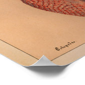 1851 Vintager Oktopus Poster (Ecke)