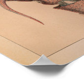 1851 Vintager Oktopus Poster (Ecke)