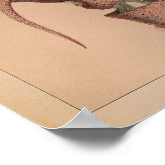 1851 Vintager Oktopus Poster (Ecke)