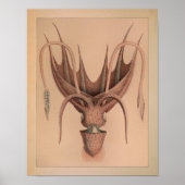 1851 Vintager Oktopus Poster (Vorne)