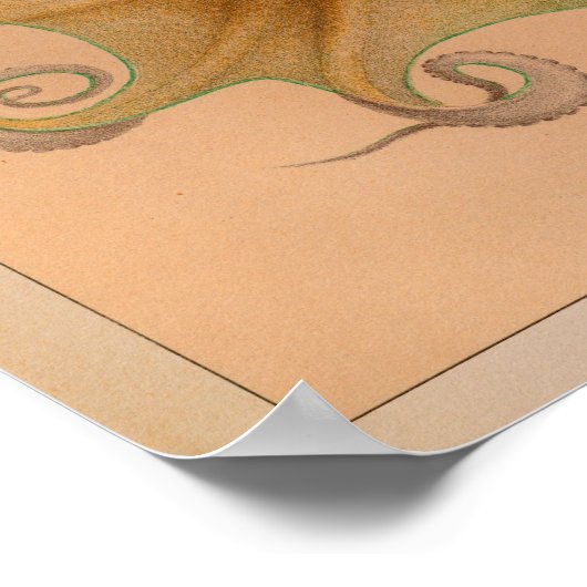 1851 Vintager Oktopus Poster (Ecke)