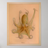 1851 Vintager Oktopus Poster (Vorne)