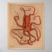 1851 Vintager Oktopus Poster (Vorne)