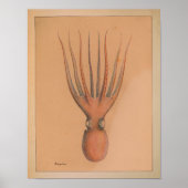 1851 Vintager Oktopus Poster (Vorne)