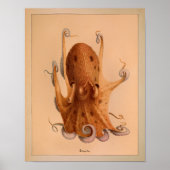 1851 Vintager Oktopus Poster (Vorne)
