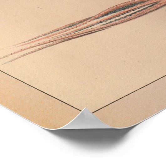 1851 Vintager Oktopus Poster (Ecke)