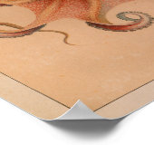 1851 Vintager Oktopus Poster (Ecke)