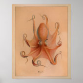 1851 Vintager Oktopus Poster (Vorne)
