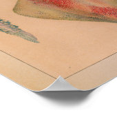 1851 Vintager Tintenfisch drucken Poster (Ecke)