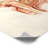 1852 Vintage Anatomie Print Brain Spinal Poster (Ecke)