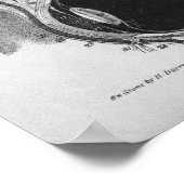 1854 Vintage Eye Anatomy B/W Print Poster (Ecke)