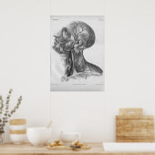 1854 Vintage Head and Neck Anatomy Print Poster (Küche)