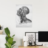 1854 Vintage Head and Neck Anatomy Print Poster (Heimbüro)