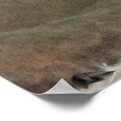 1860, Kaschmir Poster (Ecke)