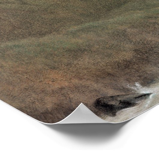 1860, Kaschmir Poster (Ecke)