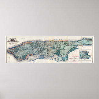 1865.Topografische Karte der Stadt New York Poster