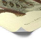 1866 Gehirn Rückenmark Nerves Anatomie drucken Poster (Ecke)