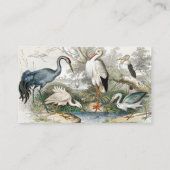 1866 Kranich, Weißer Storch, Heron, Little Egret & Visitenkarte (Rückseite)