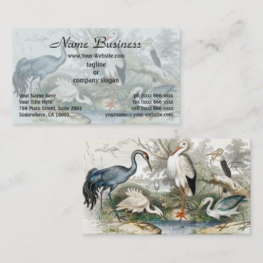 1866 Kranich, Weißer Storch, Heron, Little Egret & Visitenkarte (Vorne/Hinten)