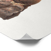 1867 Lunge Vintage Anatomie Herz drucken Poster (Ecke)