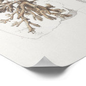 1867 Lungs Bronchi Vintage Anatomy Print Poster (Ecke)