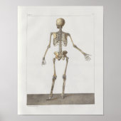1867 Skelettknochen Vintage Anatomie Medizinische Poster (Vorne)
