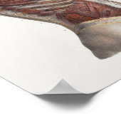 1867 Torso Muskeln Vintage Anatomie Druck Poster (Ecke)