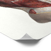 1867 Torso Muskeln Vintage Anatomie Druck Poster (Ecke)