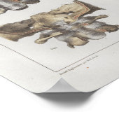 1867 Vintage Anatomie der Zervikalspine Poster (Ecke)