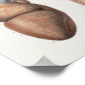 1867 Vintage Anatomie des menschlichen Herzens Poster (Ecke)