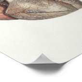 1867 Vintage Anatomie des menschlichen Herzens Poster (Ecke)