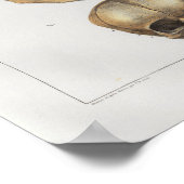 1867 Vintage Anatomie des menschlichen Schädels Poster (Ecke)