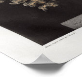 1867 Vintage Anatomie des menschlichen Schädels Poster (Ecke)