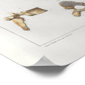 1867 Vintage Wirbelsäule Druck Poster (Ecke)