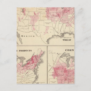 1870 aufgezogene Erzeugnisse Mais Postkarte