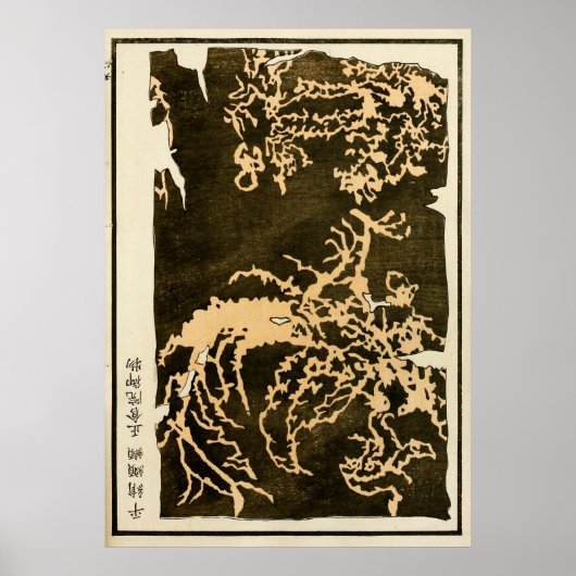 1871 Traditionelle Kunst der chinesischen Qing-Dyn Poster (Vorne)